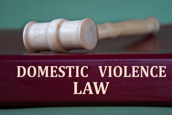 domestic violence law