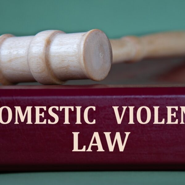 domestic violence law